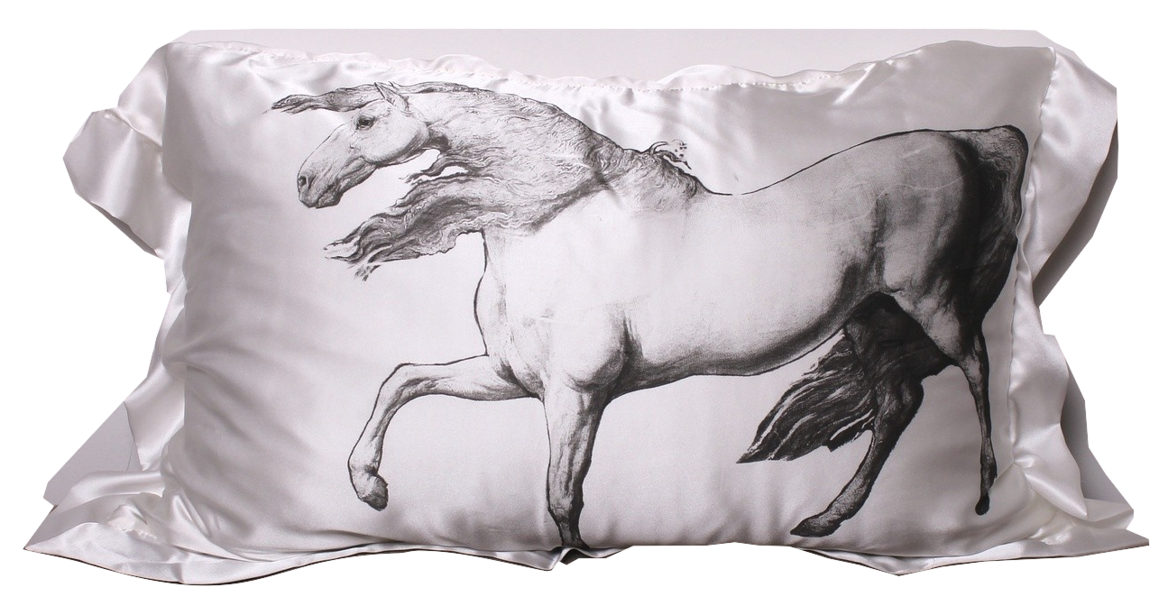 Equine Silk Pillowslip